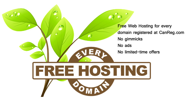 Register Your Domain Fast